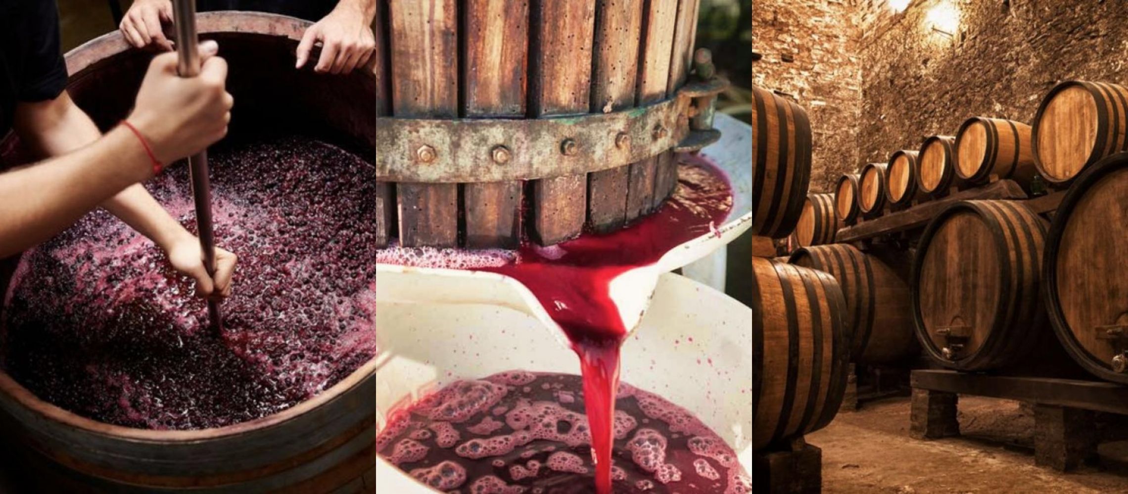 London Wine Competition 2024