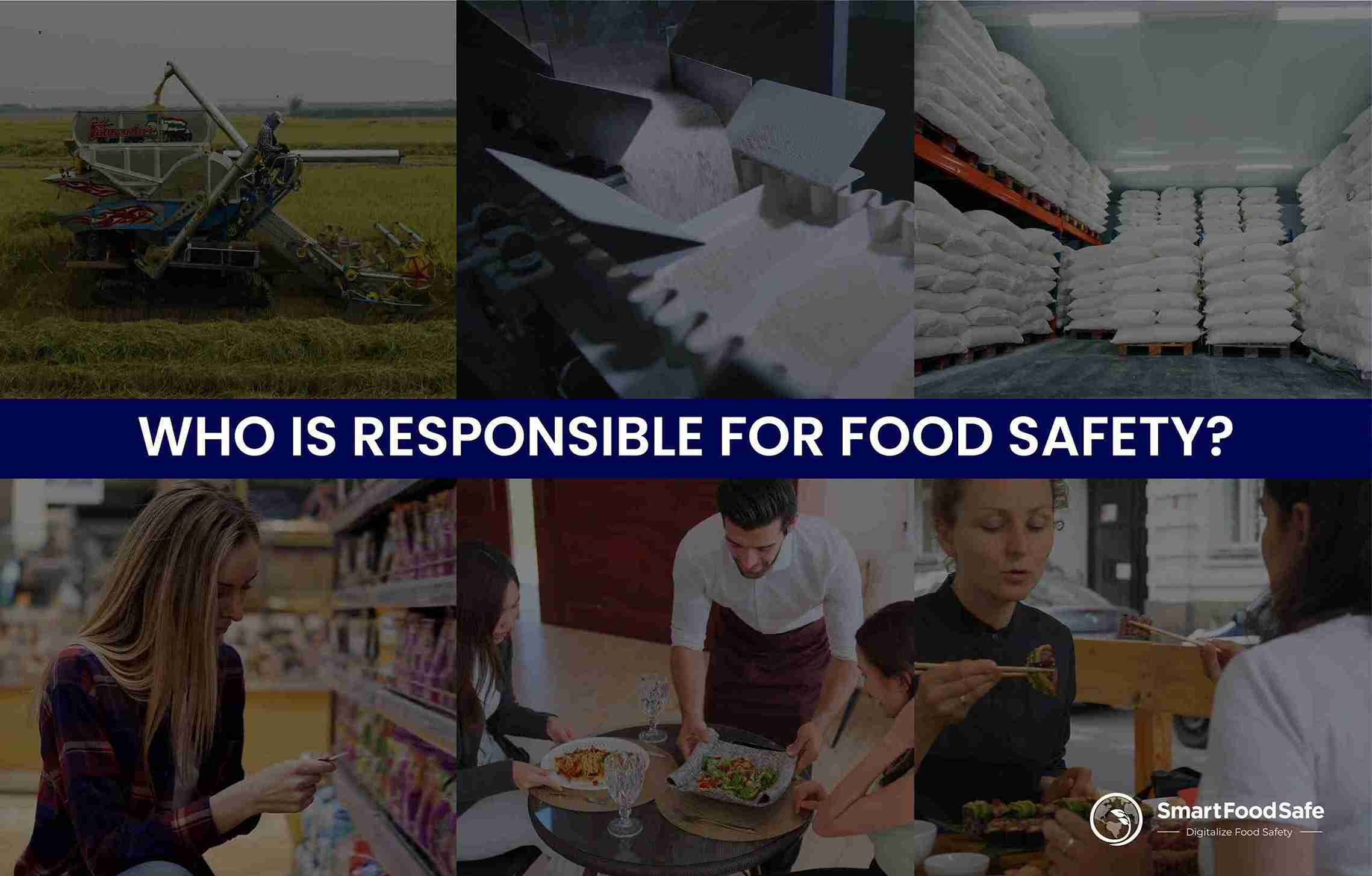 Ensuring Food Safety: A Shared Responsibility for Consumers, Producers, and Regulators