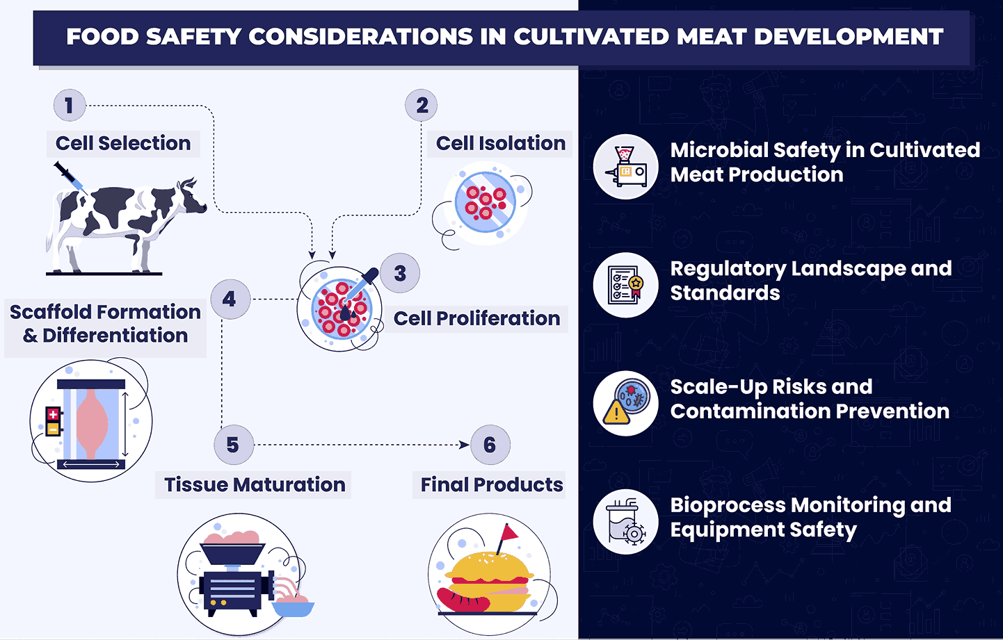 Maintaining Food Safety in Cultivated Meat Scale-up and Bioprocessing
