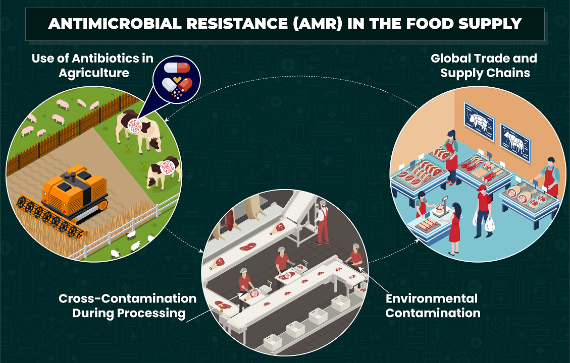 Combatting Antimicrobial Resistance in Food Supply: Effective Mitigation Strategies