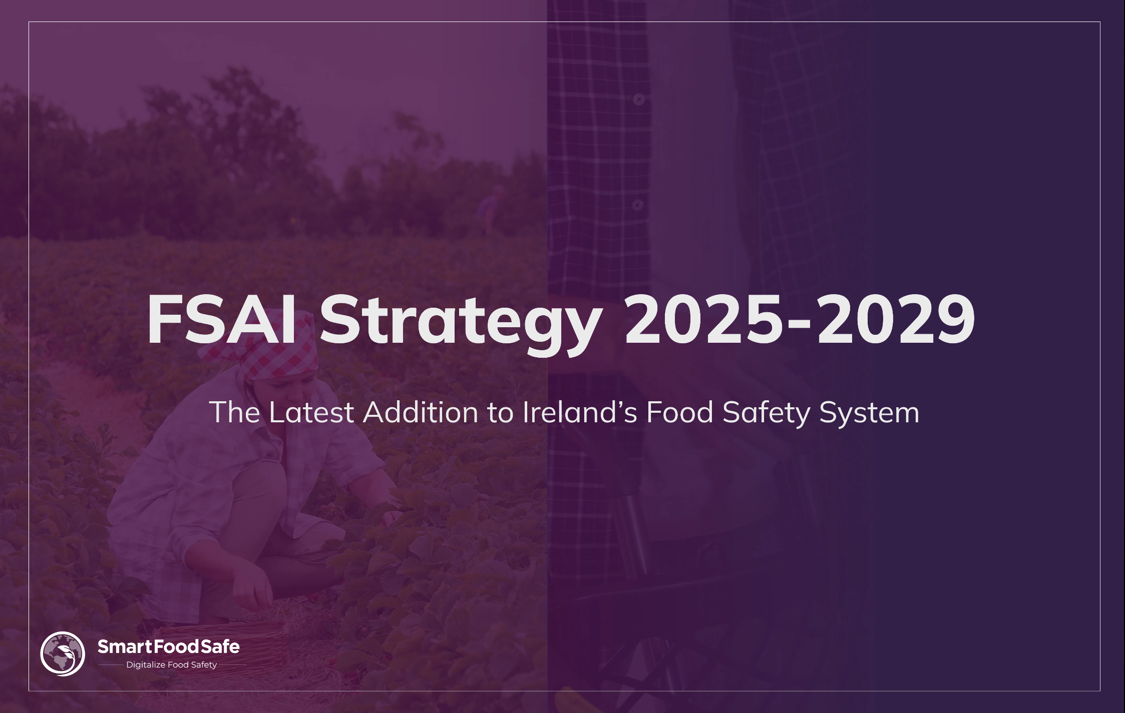 Food Safety Authority of Ireland (FSAI) Strategy 2025–2029: Insights for Food Businesses in Ireland