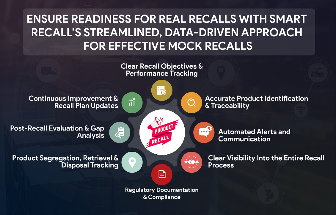 Recall-Ready in No Time: A Practical Guide to Mock Recalls