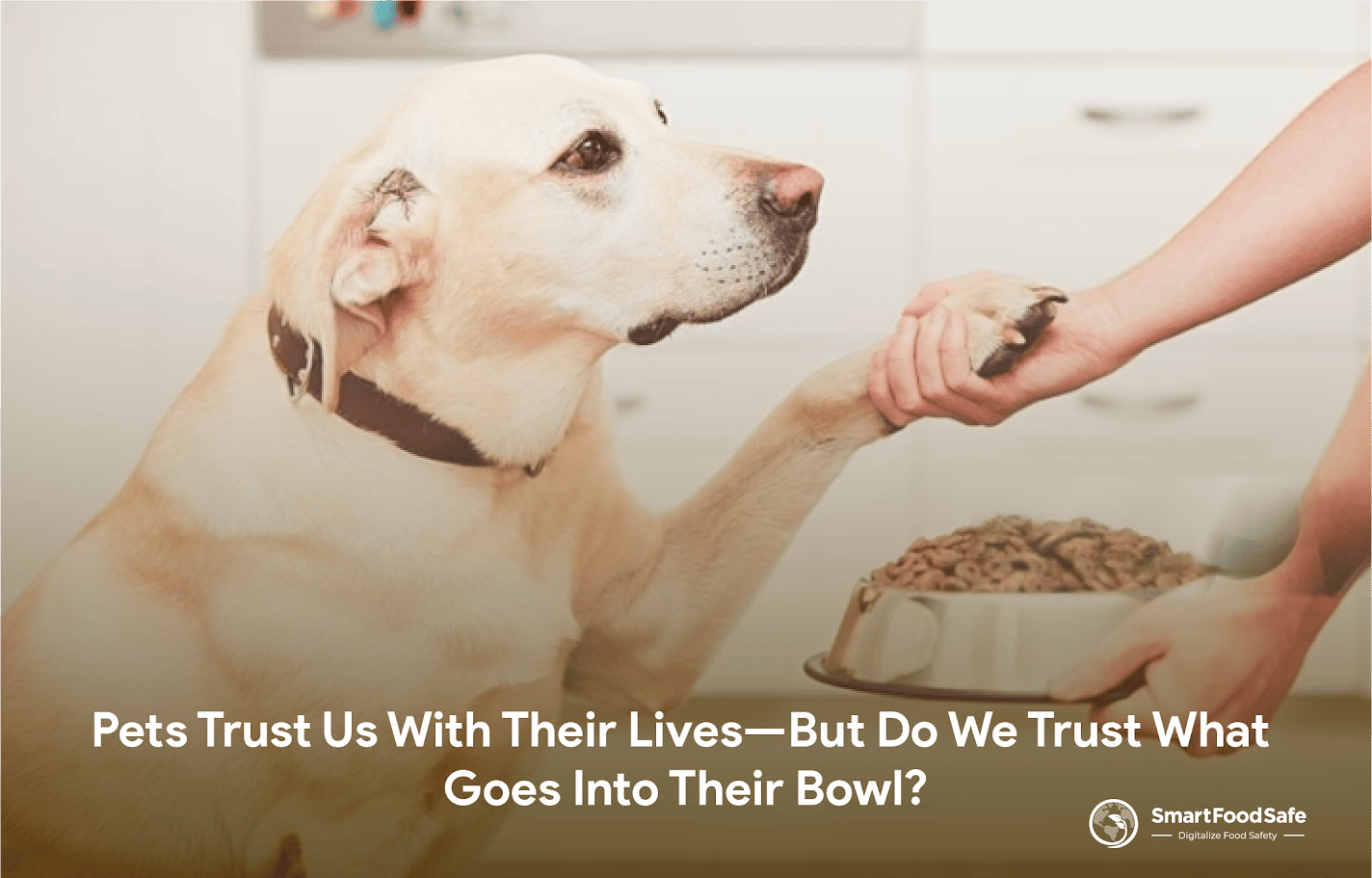 Healthy Pets Start With Safe Food—Don’t Risk What’s in the Bowl