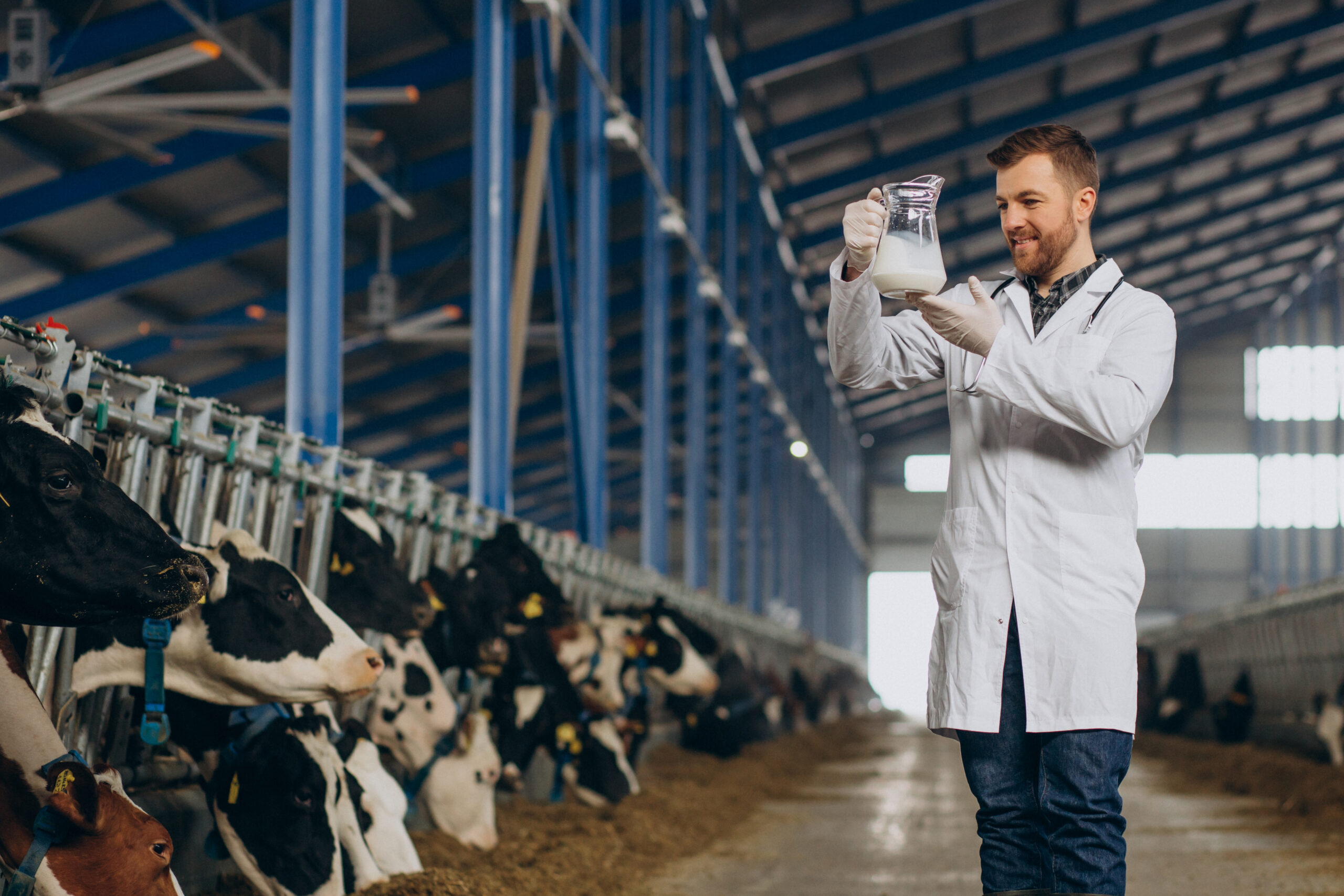 Dairy Industry Under the Lens: Food Safety Risks & Remedies