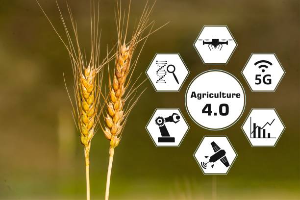 Advances in Food Quality Management Driven by Industry