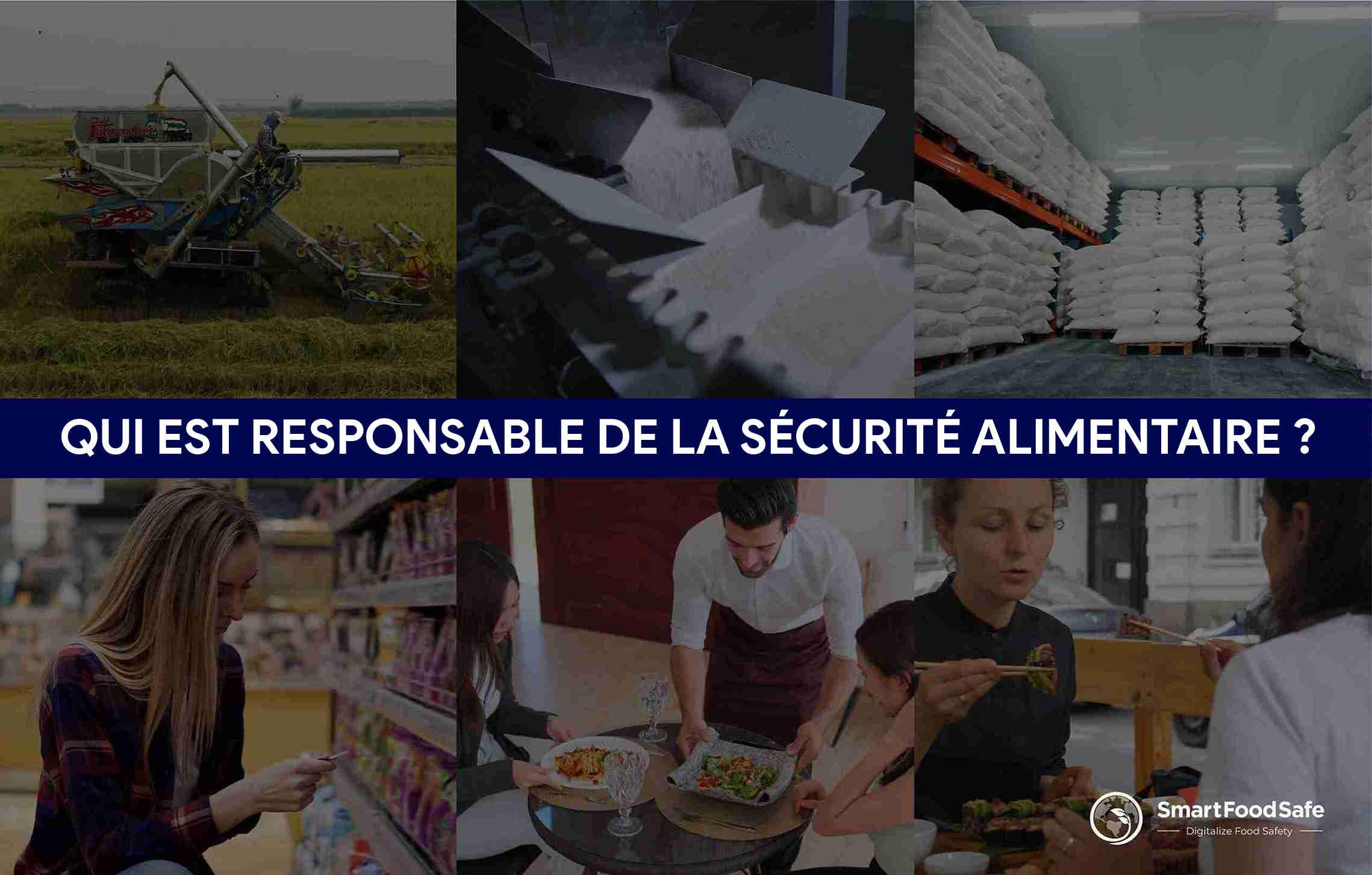 Garantir la Sécurité Alimentaire : Une Responsabilité Partagée entre Consommateurs, Producteurs et Régulateurs