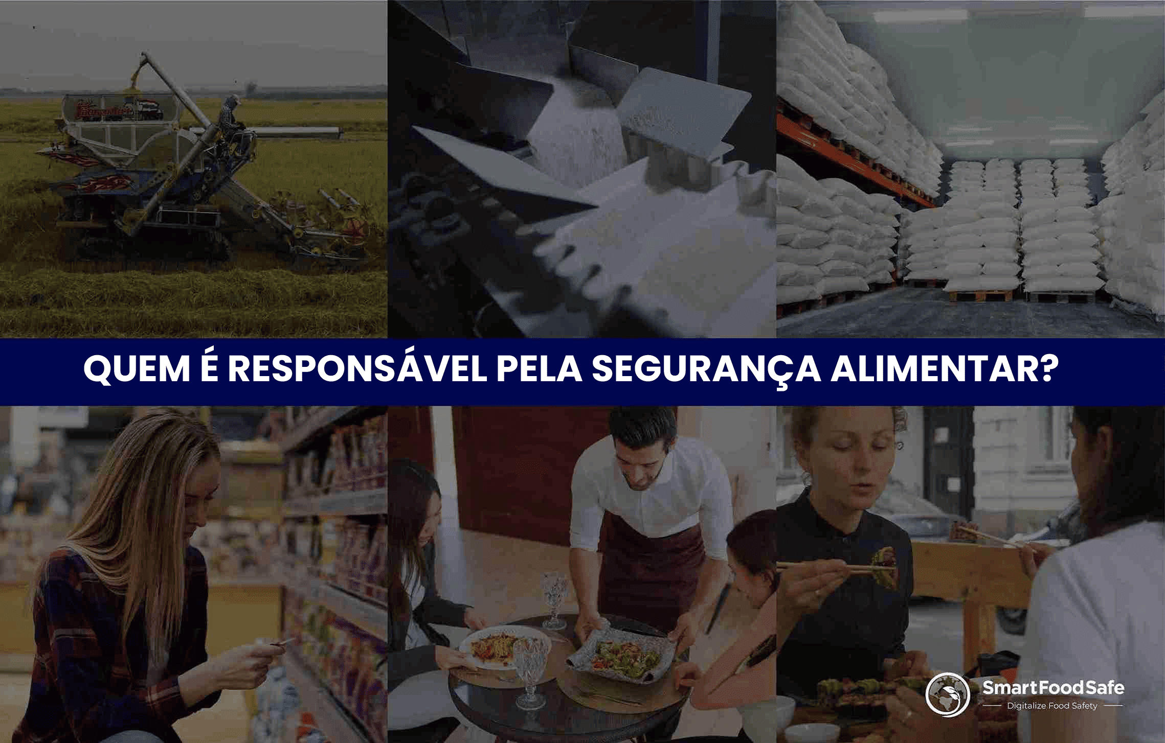 Garantindo a Segurança Alimentar: Uma Responsabilidade Compartilhada entre Consumidores, Produtores e Reguladores