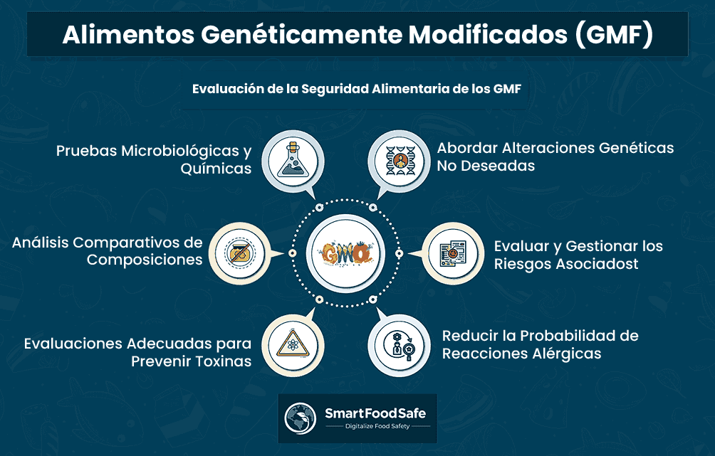 Manteniendo la Seguridad Alimentaria en los Alimentos Genéticamente Modificados