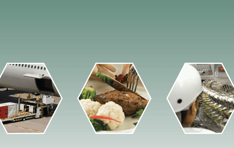 Te FSIS Food Defense Guidelines for the Transportation and Distribution of Meat,