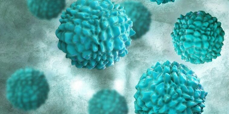 Norovirus
