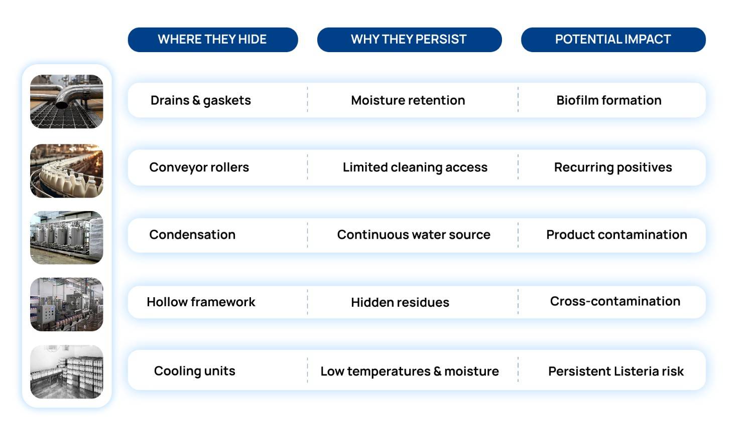 Infographic illustrating common pathogen harborage sites in dairy processing facilities, why microorganisms persist in these areas, and their impact on food safety. Covers drains, equipment gaskets, conveyor rollers, condensation, refrigeration units, cracked floors, biofilm formation, and recurring environmental contamination