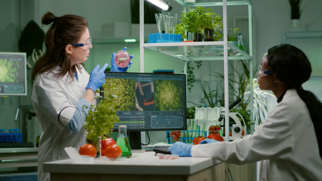 Software-Assisted Pattern Recognition of Persistent Organic Pollutants