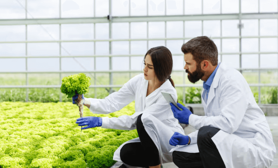 Harnessing Artificial Intelligence to Safeguard Food Quality and Safety