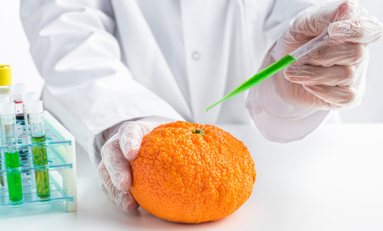 Food Contamination Detection