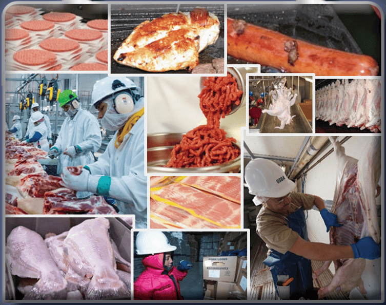 America Food Safe Brochure