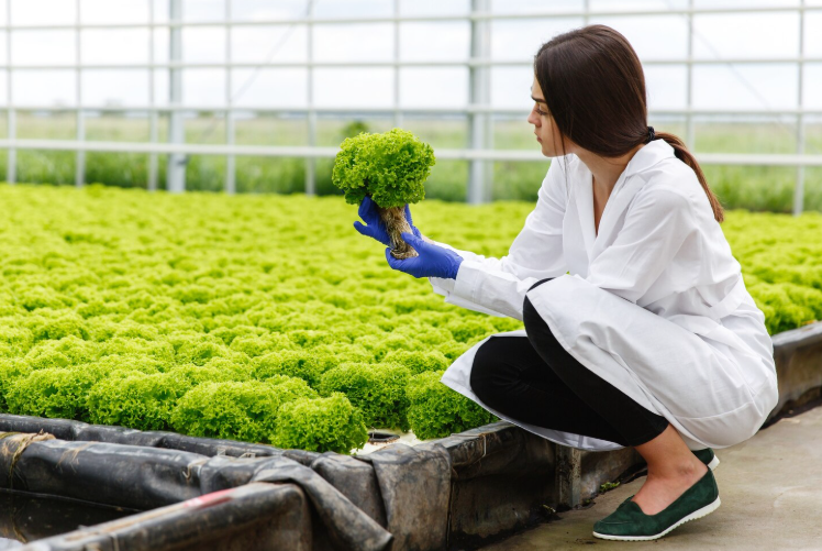 Managing Food Safety and Safeguarding Consumer Health Strategies